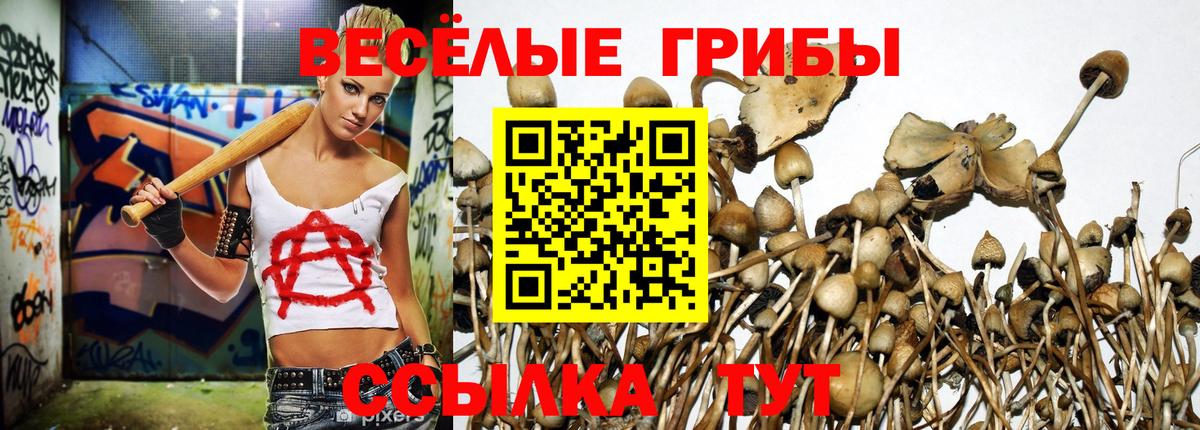 Псилоцибиновые грибы прущие грибы Дивногорск